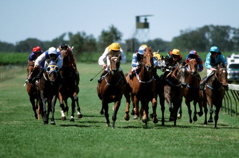 murray bridge tips for 23.05.2020