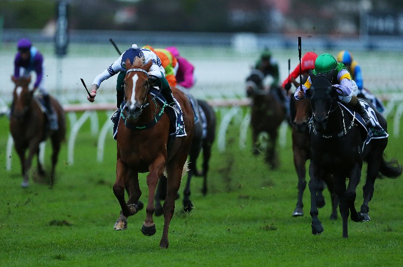 Horse racing