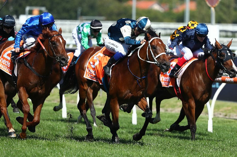 Caulfield Racing Tips - Horse Racing Tips & Selections