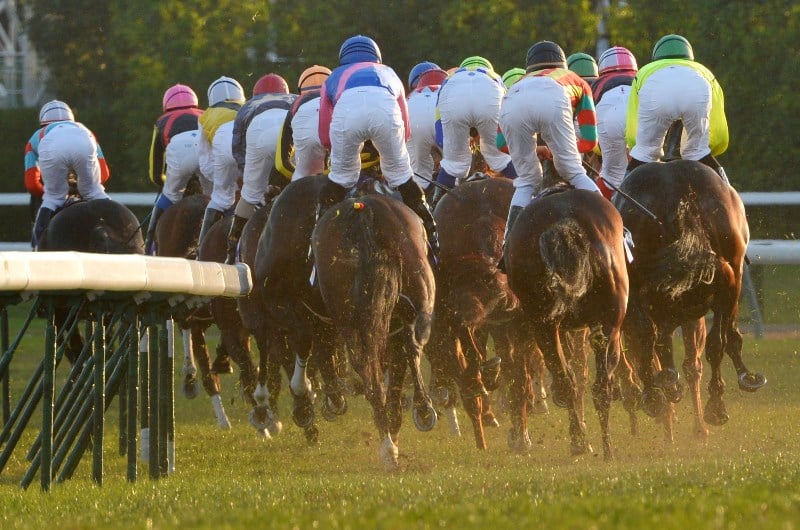 Tokyo Yushin Tips - Horse Racing Tips & Selections
