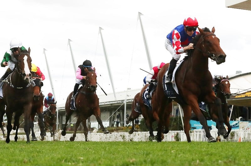 JJ Atkins tips for 06.06.2020
