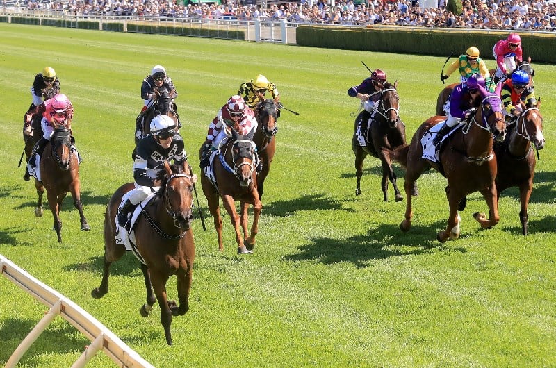 stradbroke handicap tips for 06.06.2020