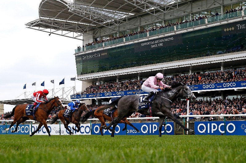 guineas newmarket