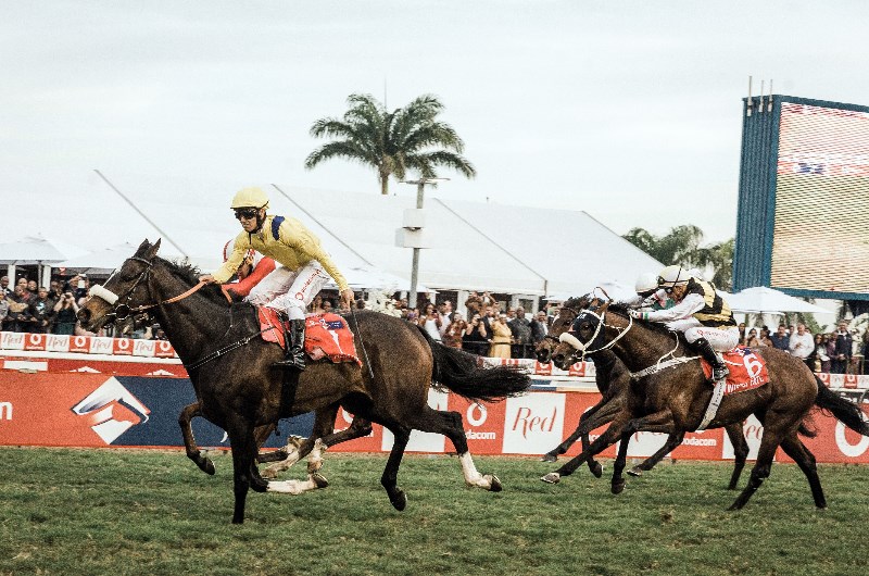 Durban july horse racing