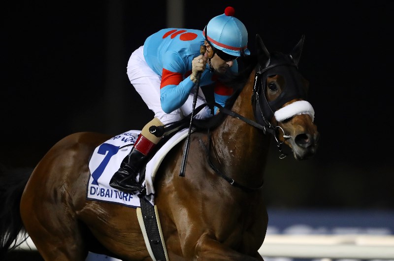 Yasuda Kinen Tips - Horse Racing Tips & Selections