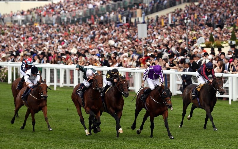 2024 Royal Ascot Betting Tips, Best Bookmakers & Free Bets