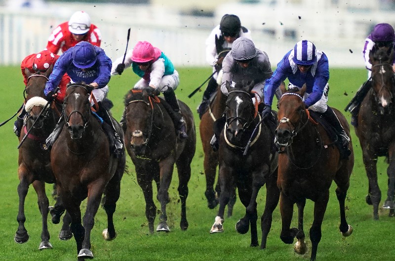 king's stand stakes royal ascot