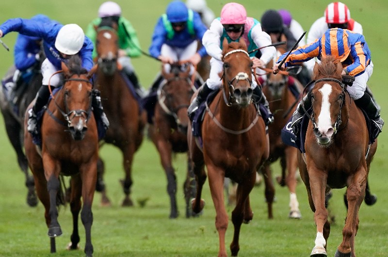 1000 guineas