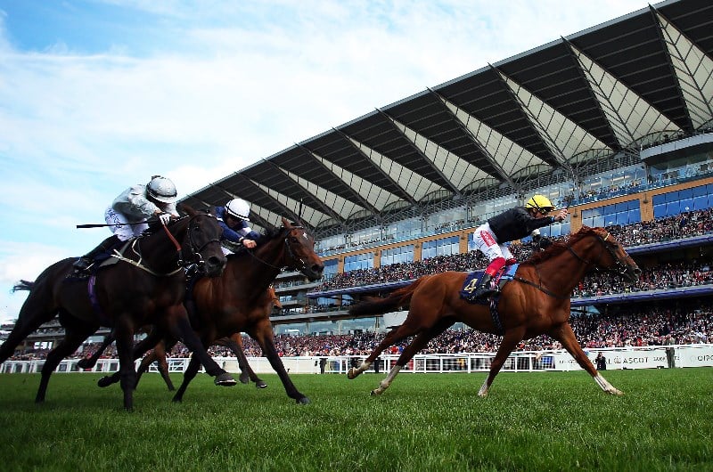 stradivarius royal ascot