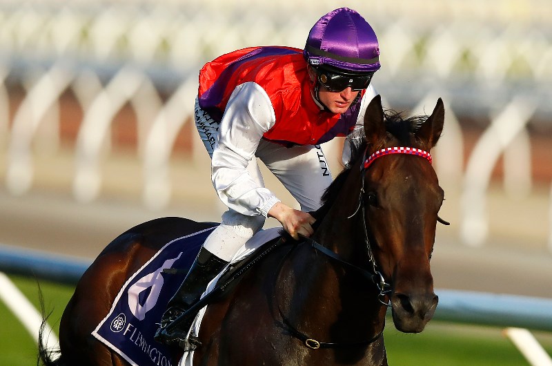 Flemington Racing Tips - Horse Racing Tips & Selections