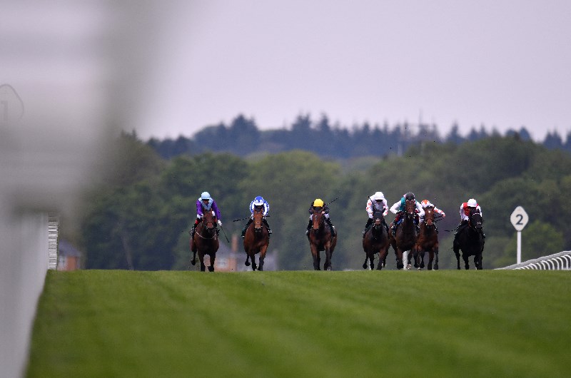 commonwealth cup royal ascot