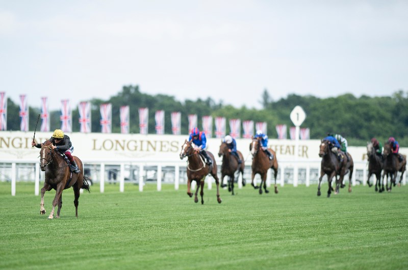 Day 3 royal ascot recap