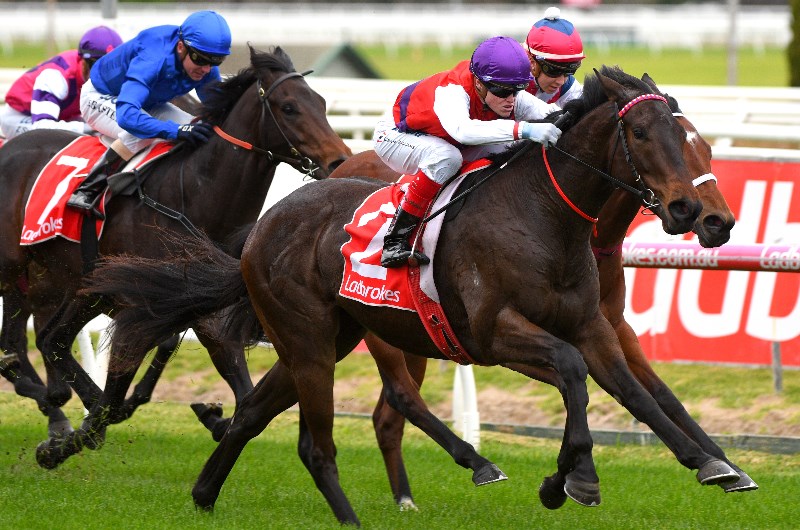 big bets for 20.06.2020