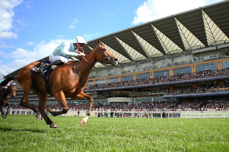 coronation stakes royal ascot