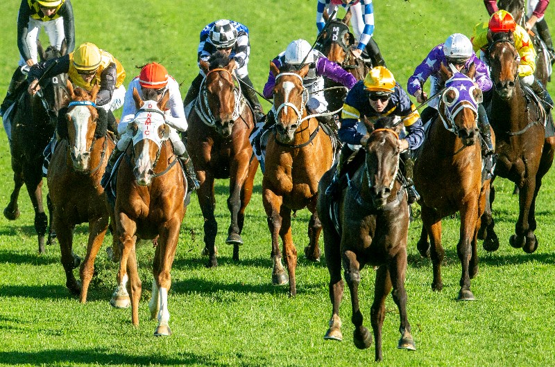 Big Bets results from 20.06.2020
