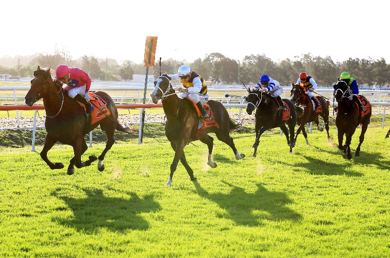 Hawkesbury tips for 23.06.2020