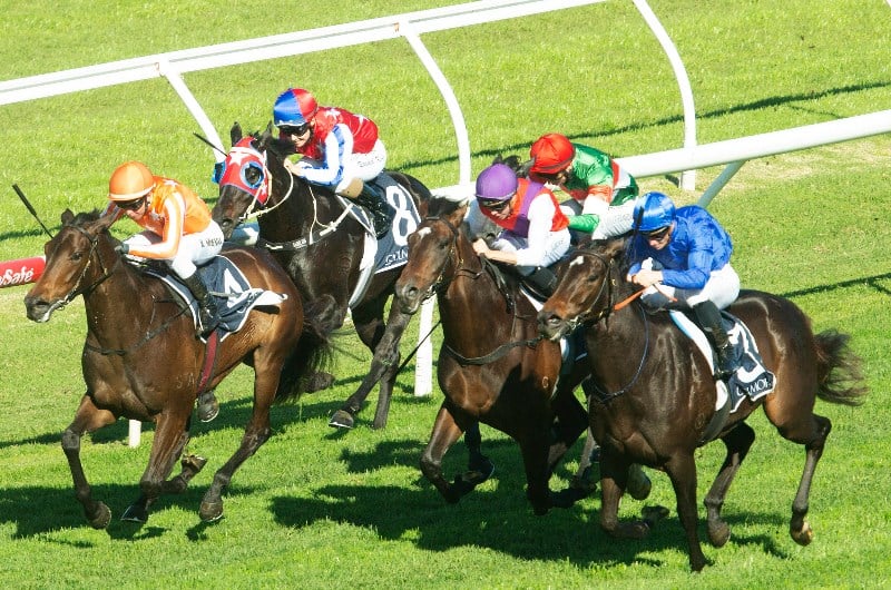 Randwick Blackbookers from 20.06.2020