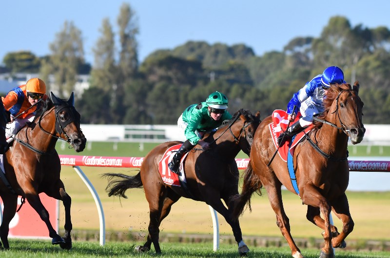 Sandown Racing Tips - Horse Racing Tips & Selections