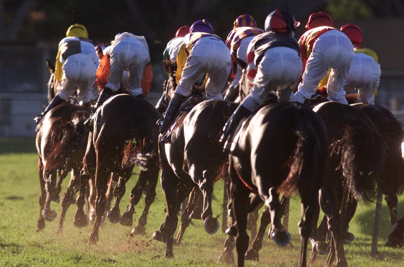 ipswich tips for 24.06.2020