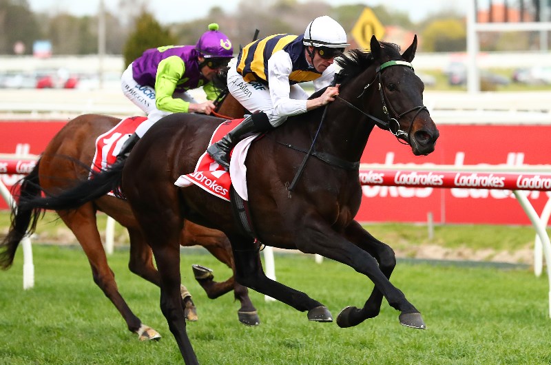 Caulfield Racing Tips - Horse Racing Tips & Selections