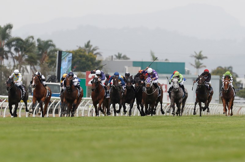 Gold Coast tips for 26.06.2020