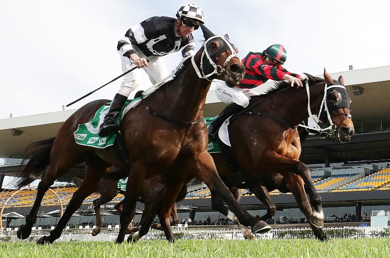 big bets for 27.06.2020