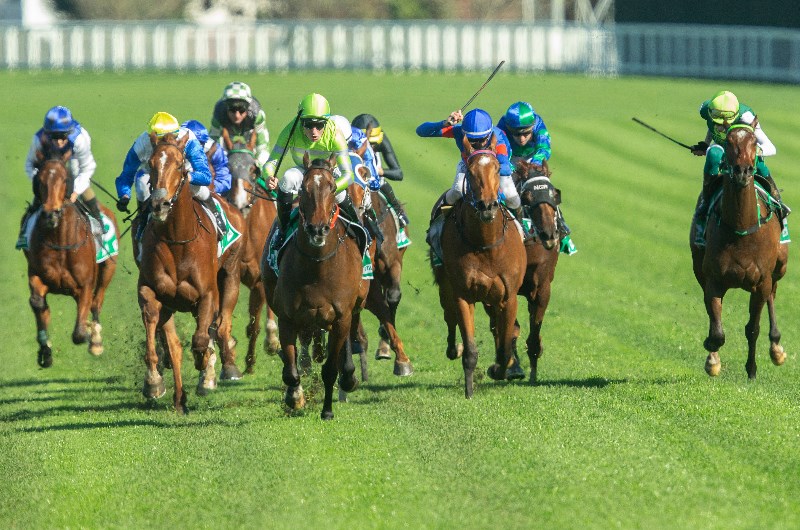 Gosford tips for 30.06.2020