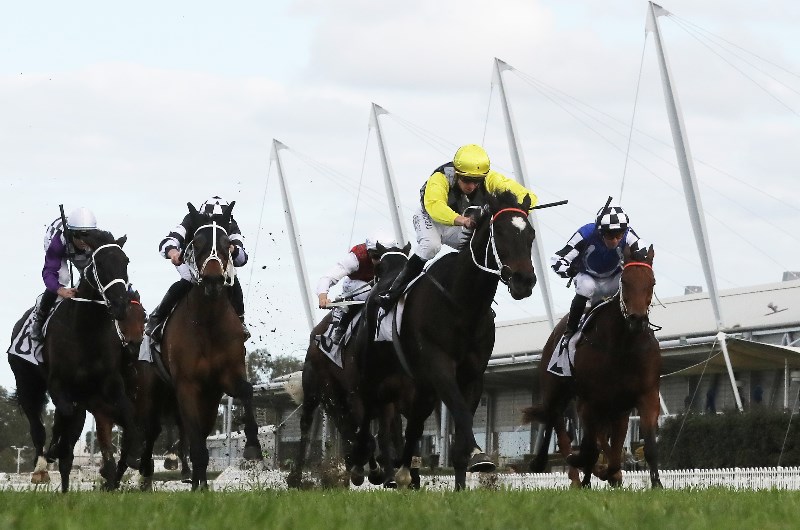 Rosehill Blackbookers from 27.06.2020