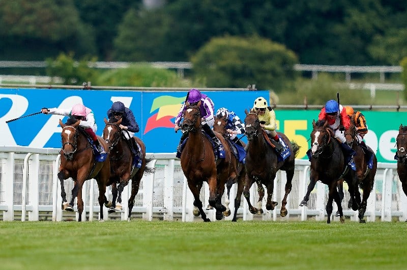 enable sandown