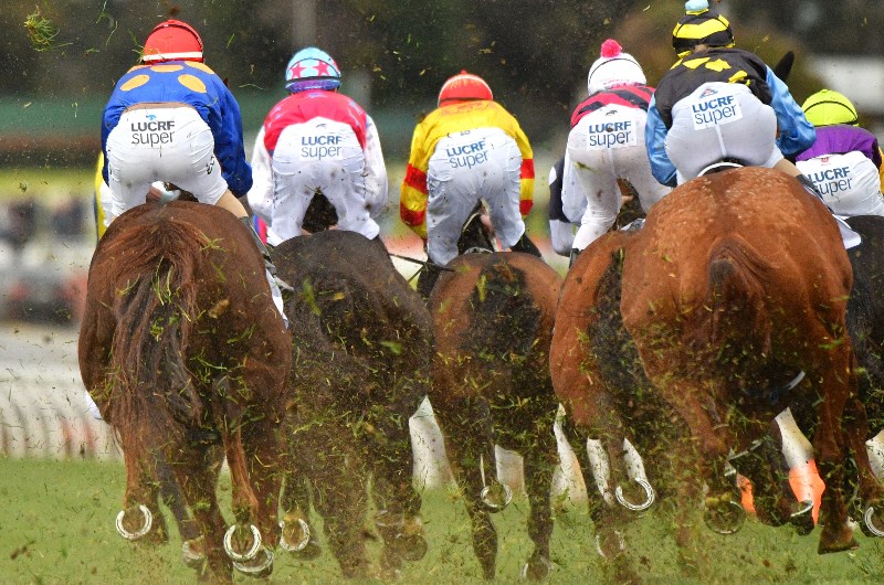 Belmont tips for 01.07.2020