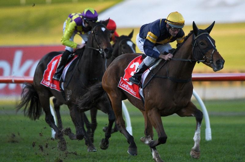 Sandown Racing Tips - Horse Racing Tips & Selections