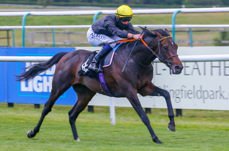 ENGLISH KING lingfield
