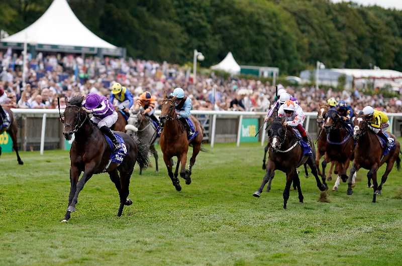 NEWMARKET JULY