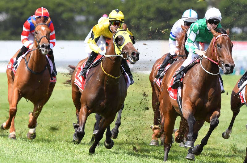Northam tips for 02.07.2020