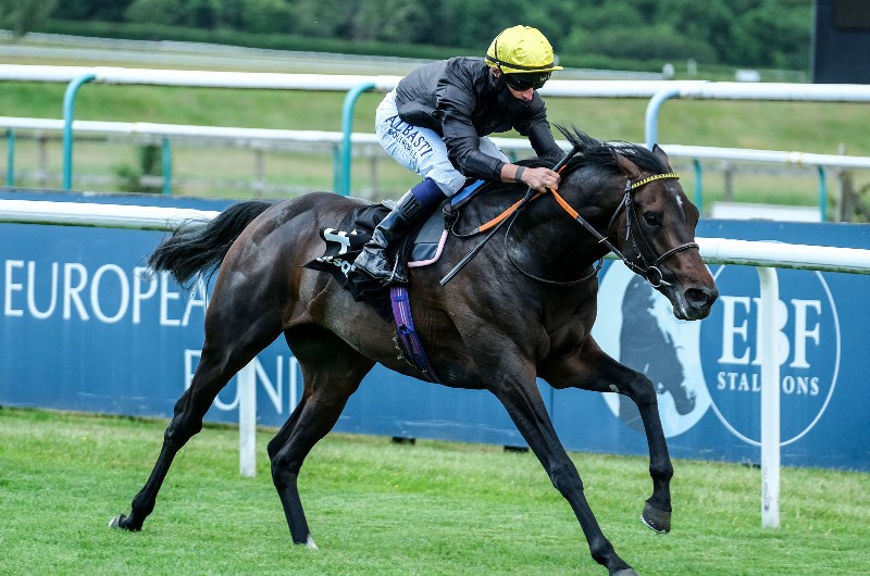 english king lingfield