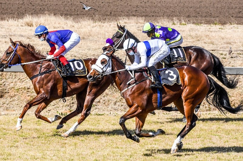 south africa horse racing