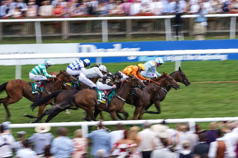 july cup newmarket