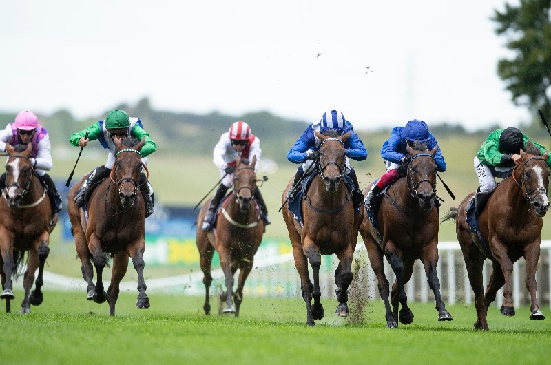 newmarket