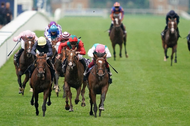 Enable Ascot