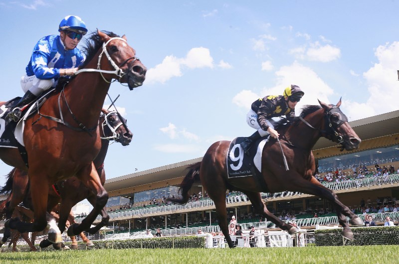 Warwick Farm July 15 meeting cancelled - news