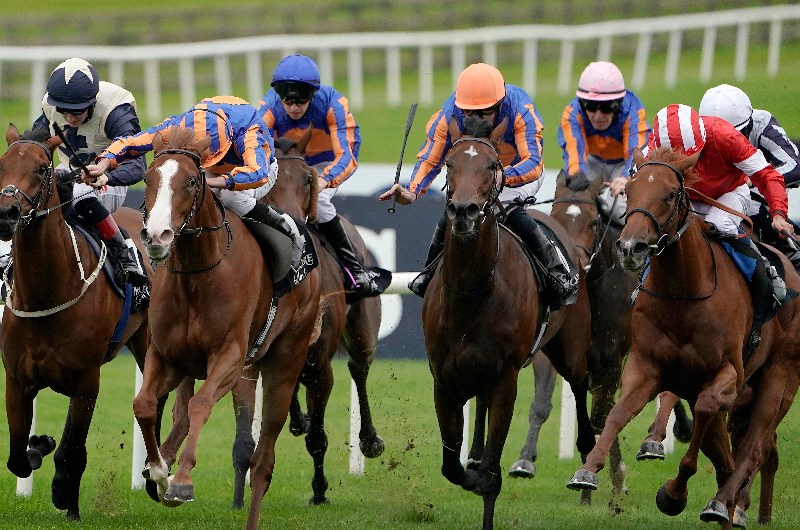 curragh races