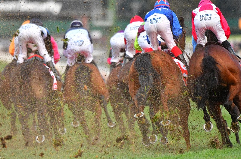 Belmont tips for 18.07.2020