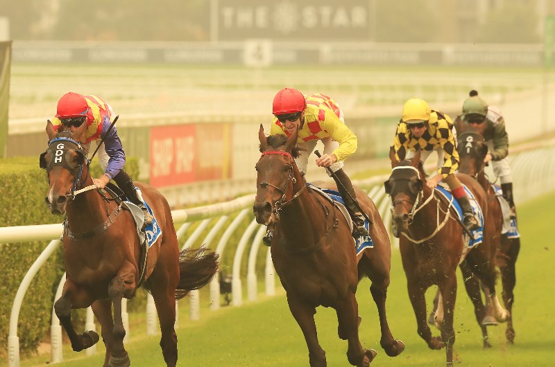 Weekend Racing Multi