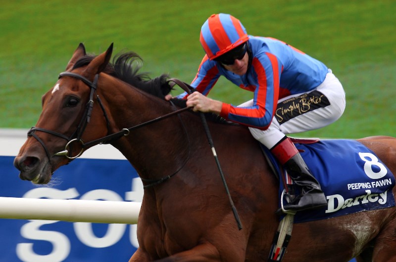 irish oaks curragh