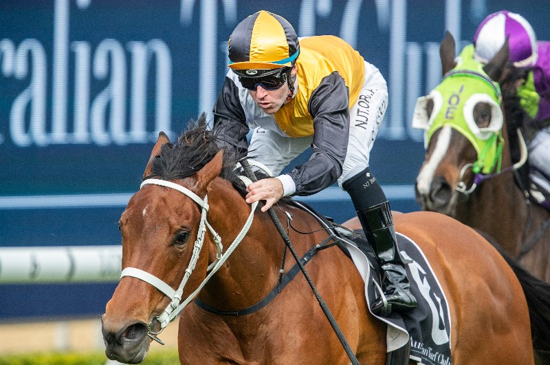 Big Bets Results from 18.07.2020