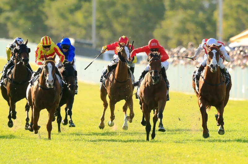 Wyong racing tips for 16.04.2020