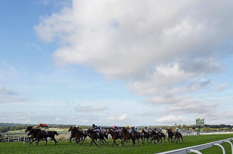 glorious goodwood