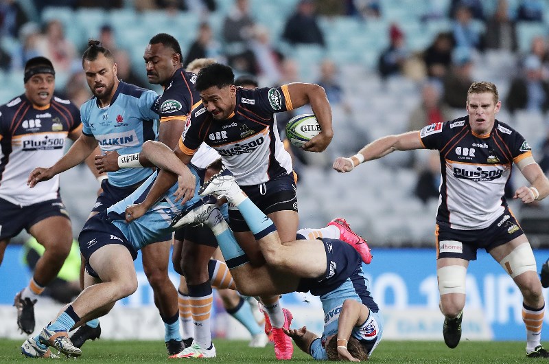 Brumbies