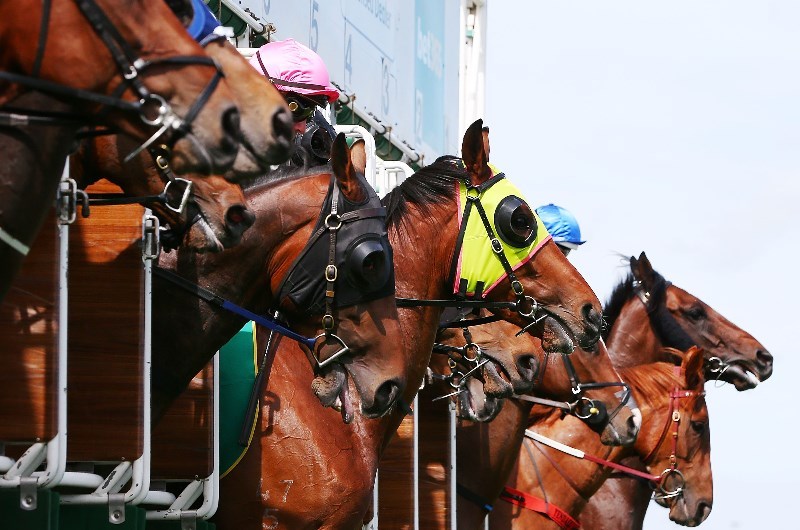 pinjarra racecourse static