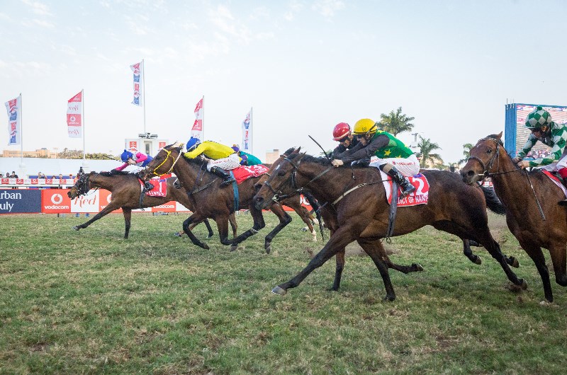 durban july greyville